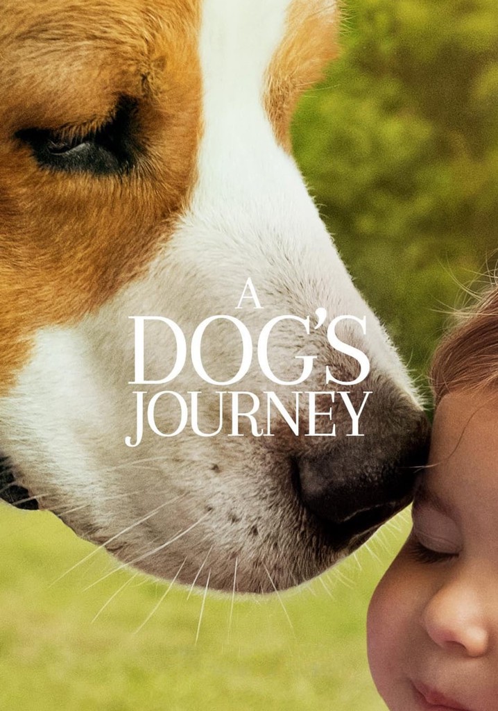 A Dog's Journey movie watch streaming online